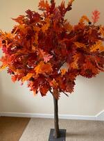 Large Blossom Tree Large Blossom Tree