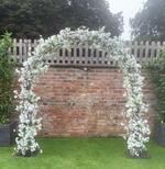 Blossom Arch Blossom Arch