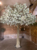 Blossom Tree Blossom Tree