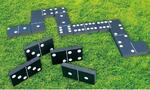 Giant Dominoes