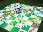 Giant Snakes and Ladders Giant Snakes and Ladders