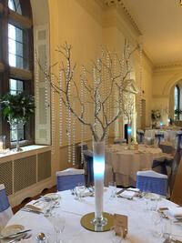 Crystal Tree Centrepiece Crystal Tree Centrepiece
